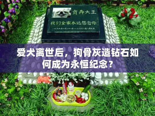 爱犬离世后，狗骨灰造钻石如何成为永恒纪念？