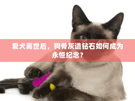 爱犬离世后，狗骨灰造钻石如何成为永恒纪念？