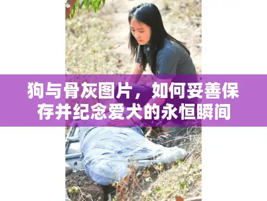 狗与骨灰图片，如何妥善保存并纪念爱犬的永恒瞬间