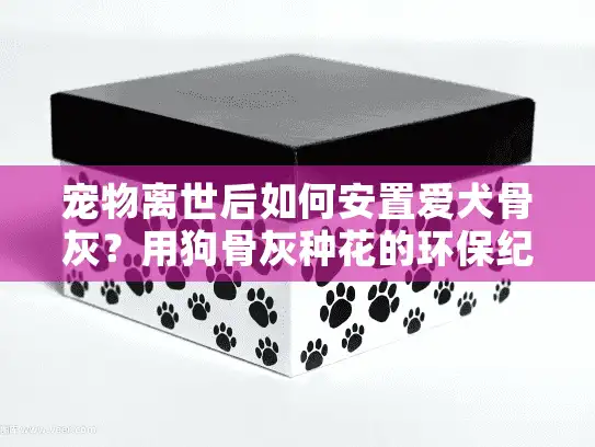 宠物离世后如何安置爱犬骨灰？用狗骨灰种花的环保纪念方式