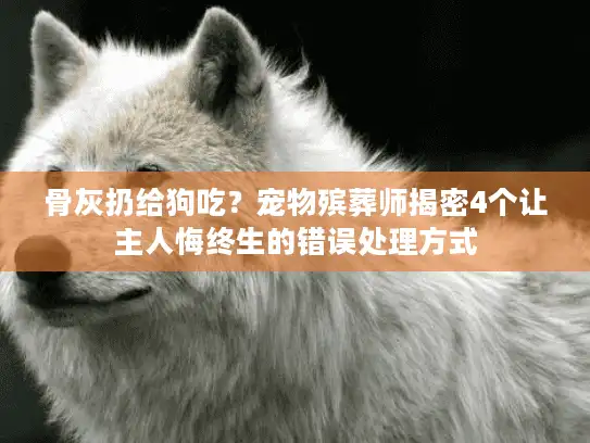骨灰扔给狗吃？宠物殡葬师揭密4个让主人悔终生的错误处理方式