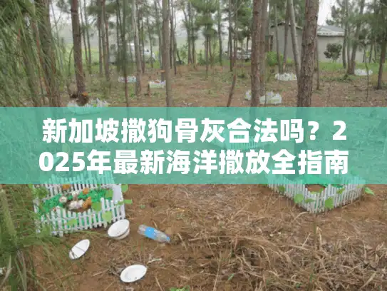 新加坡撒狗骨灰合法吗？2025年最新海洋撒放全指南