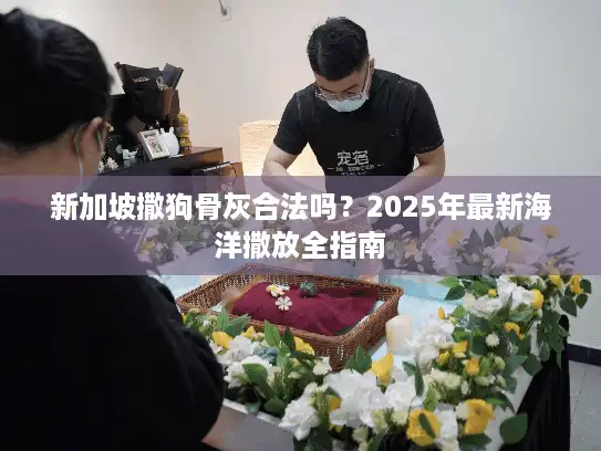 新加坡撒狗骨灰合法吗？2025年最新海洋撒放全指南