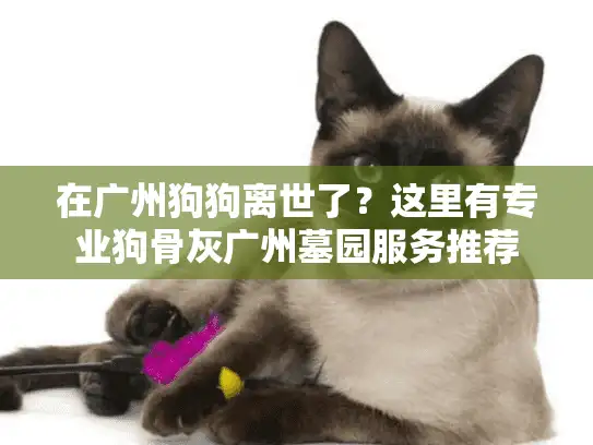 在广州狗狗离世了？这里有专业狗骨灰广州墓园服务推荐