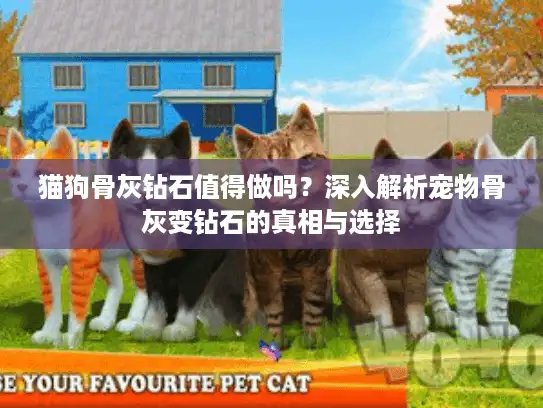 猫狗骨灰钻石值得做吗？深入解析宠物骨灰变钻石的真相与选择