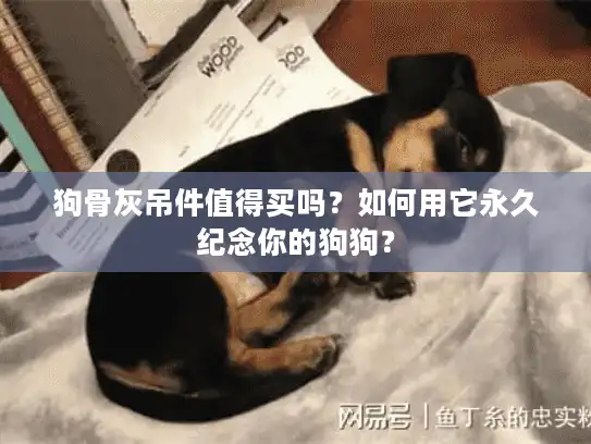 狗骨灰吊件值得买吗？如何用它永久纪念你的狗狗？