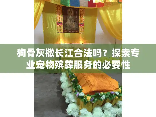 狗骨灰撒长江合法吗？探索专业宠物殡葬服务的必要性