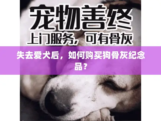 失去爱犬后，如何购买狗骨灰纪念品？