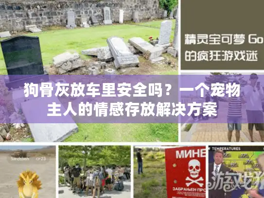 狗骨灰放车里安全吗？一个宠物主人的情感存放解决方案