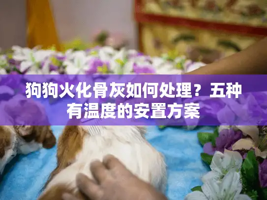 狗狗火化骨灰如何处理？五种有温度的安置方案