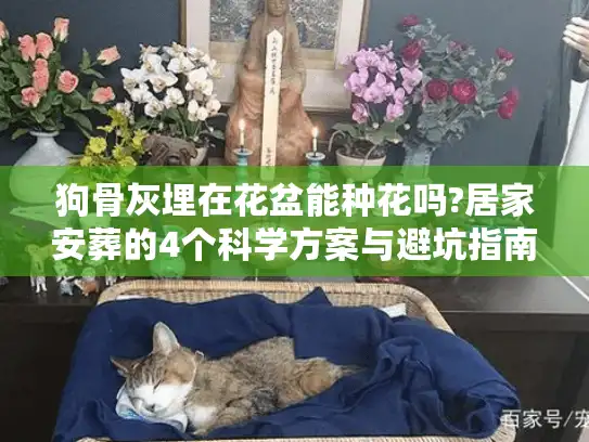 狗骨灰埋在花盆能种花吗?居家安葬的4个科学方案与避坑指南