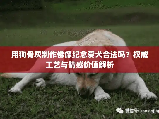 用狗骨灰制作佛像纪念爱犬合法吗？权威工艺与情感价值解析