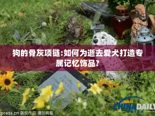 狗的骨灰项链:如何为逝去爱犬打造专属记忆饰品?