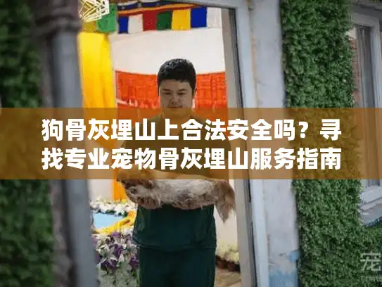 狗骨灰埋山上合法安全吗？寻找专业宠物骨灰埋山服务指南