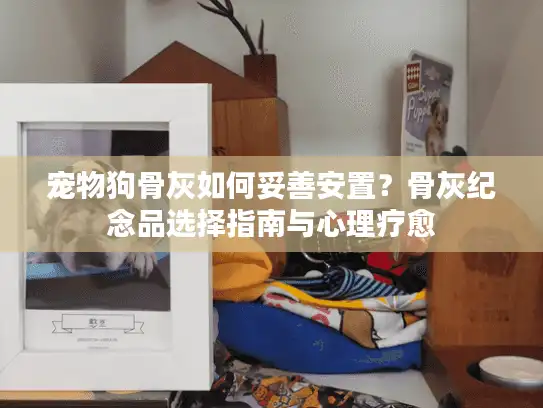 宠物狗骨灰如何妥善安置？骨灰纪念品选择指南与心理疗愈