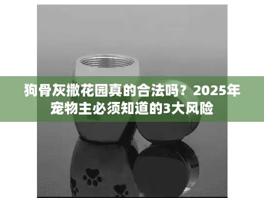 狗骨灰撒花园真的合法吗？2025年宠物主必须知道的3大风险