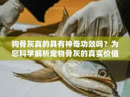 狗骨灰真的具有神奇功效吗？为您科学解析宠物骨灰的真实价值
