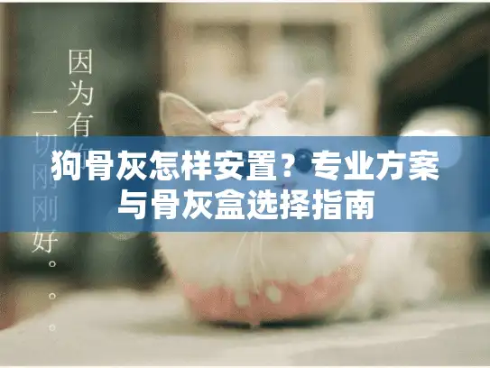 狗骨灰怎样安置？专业方案与骨灰盒选择指南