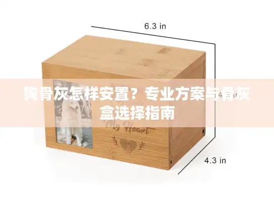 狗骨灰怎样安置？专业方案与骨灰盒选择指南