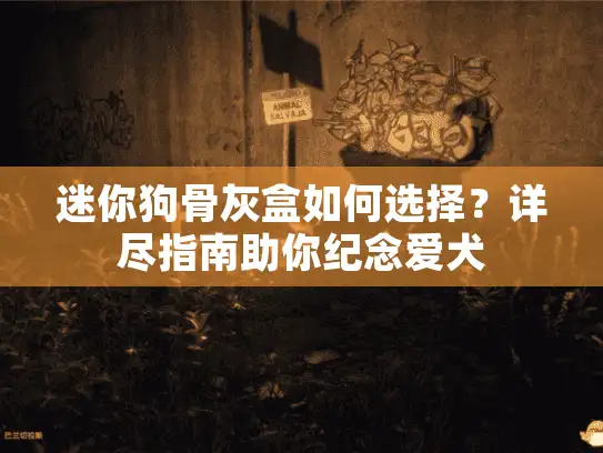 迷你狗骨灰盒如何选择？详尽指南助你纪念爱犬