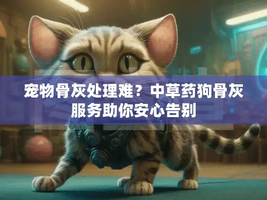 宠物骨灰处理难？中草药狗骨灰服务助你安心告别