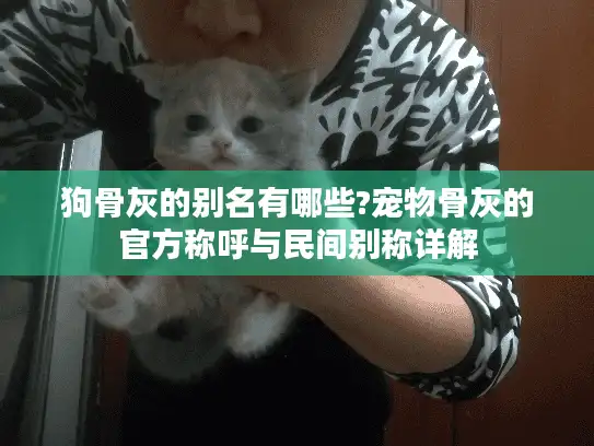 狗骨灰的别名有哪些?宠物骨灰的官方称呼与民间别称详解