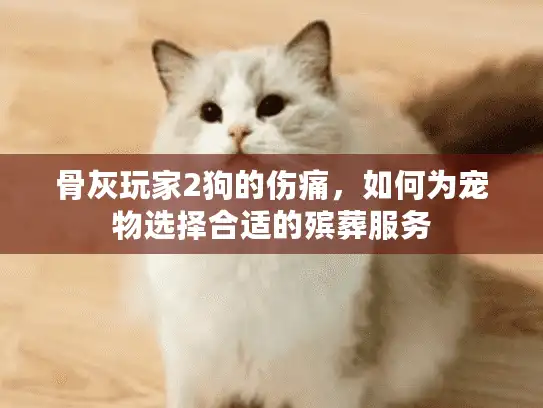 骨灰玩家2狗的伤痛，如何为宠物选择合适的殡葬服务