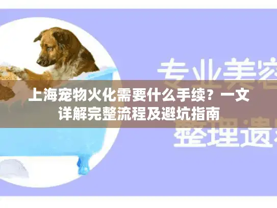 上海宠物火化需要什么手续？一文详解完整流程及避坑指南