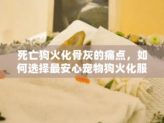 死亡狗火化骨灰的痛点，如何选择最安心宠物狗火化服务？