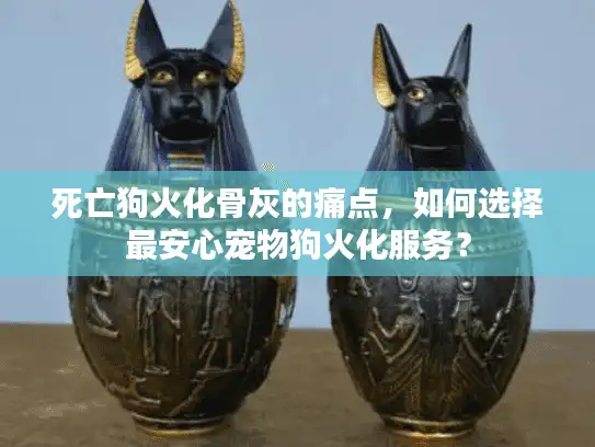 死亡狗火化骨灰的痛点，如何选择最安心宠物狗火化服务？