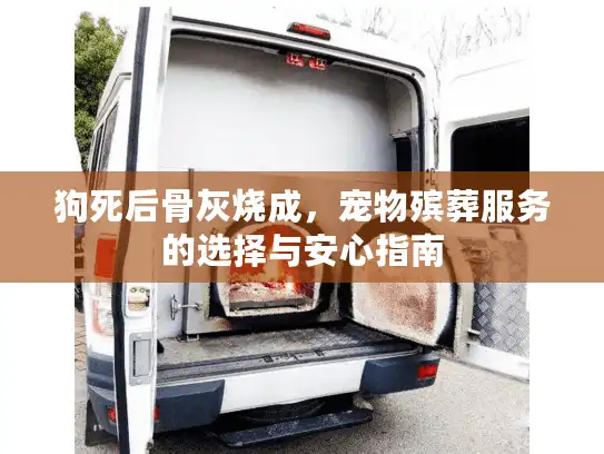 狗死后骨灰烧成，宠物殡葬服务的选择与安心指南