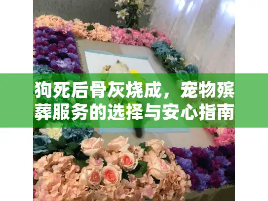 狗死后骨灰烧成，宠物殡葬服务的选择与安心指南