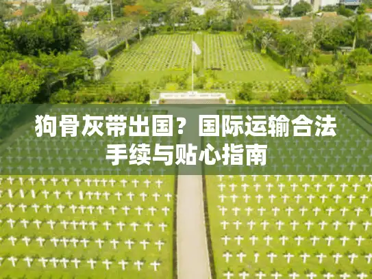 狗骨灰带出国？国际运输合法手续与贴心指南