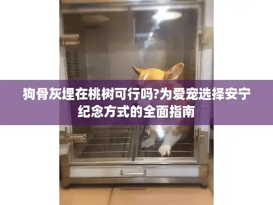 狗骨灰埋在桃树可行吗?为爱宠选择安宁纪念方式的全面指南
