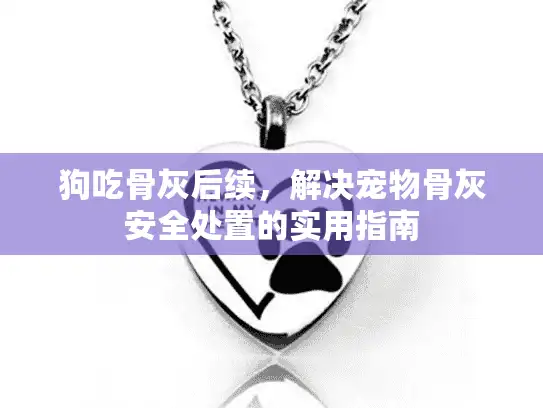 狗吃骨灰后续，解决宠物骨灰安全处置的实用指南