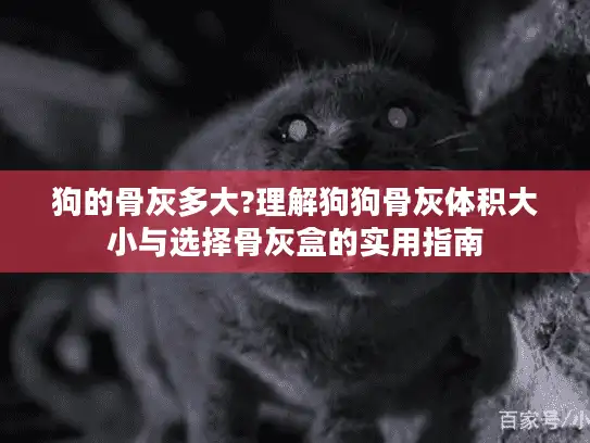 狗的骨灰多大?理解狗狗骨灰体积大小与选择骨灰盒的实用指南