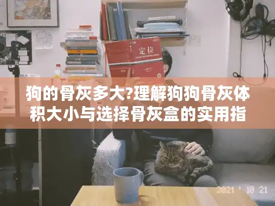 狗的骨灰多大?理解狗狗骨灰体积大小与选择骨灰盒的实用指南