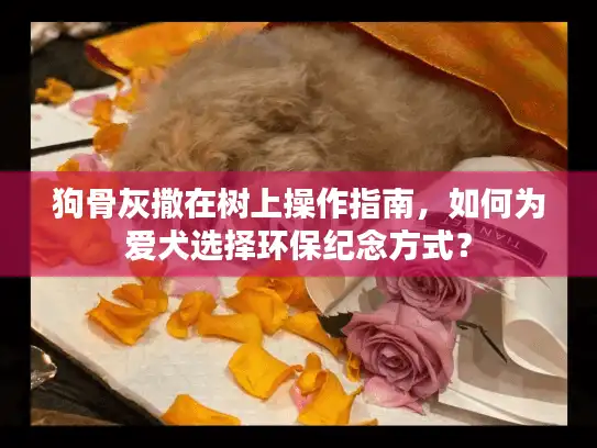狗骨灰撒在树上操作指南，如何为爱犬选择环保纪念方式？