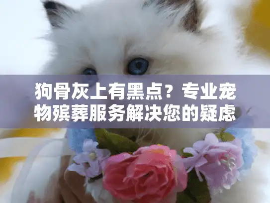 狗骨灰上有黑点？专业宠物殡葬服务解决您的疑虑