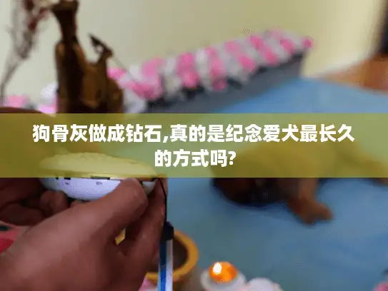 狗骨灰做成钻石,真的是纪念爱犬最长久的方式吗?