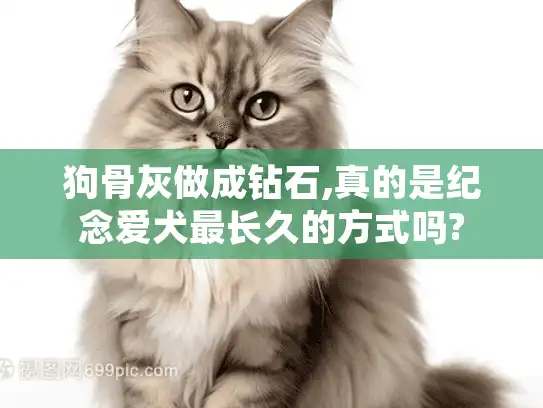 狗骨灰做成钻石,真的是纪念爱犬最长久的方式吗?