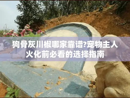 狗骨灰川椒哪家靠谱?宠物主人火化前必看的选择指南