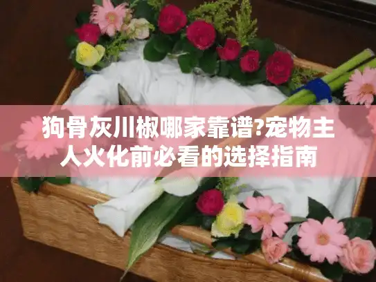 狗骨灰川椒哪家靠谱?宠物主人火化前必看的选择指南