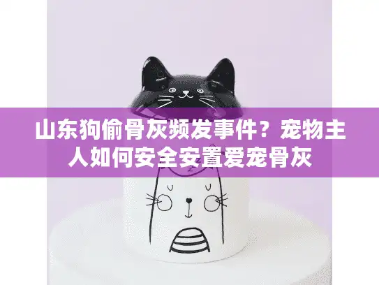 山东狗偷骨灰频发事件？宠物主人如何安全安置爱宠骨灰