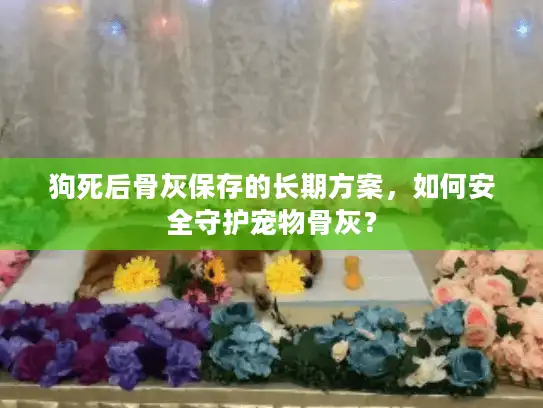 狗死后骨灰保存的长期方案，如何安全守护宠物骨灰？