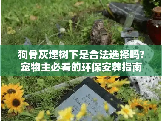 狗骨灰埋树下是合法选择吗?宠物主必看的环保安葬指南