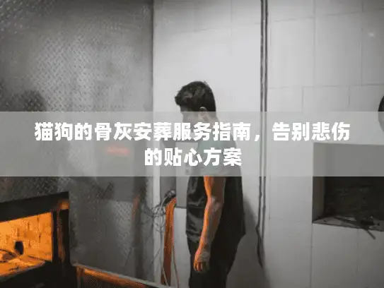 猫狗的骨灰安葬服务指南，告别悲伤的贴心方案
