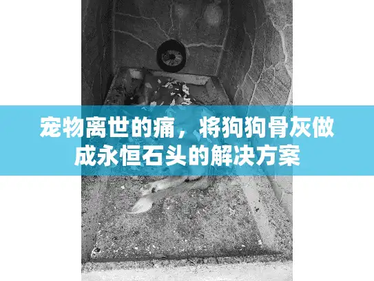宠物离世的痛，将狗狗骨灰做成永恒石头的解决方案