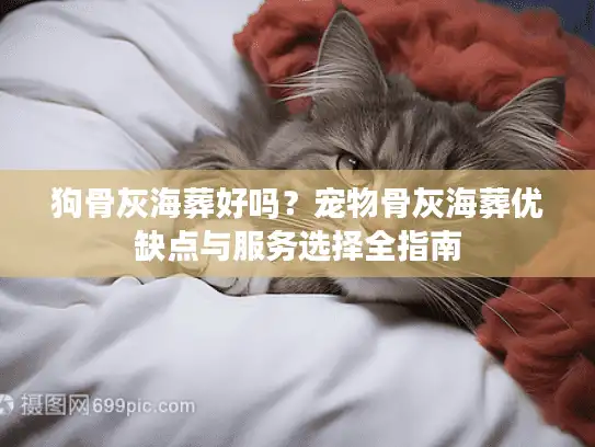 狗骨灰海葬好吗？宠物骨灰海葬优缺点与服务选择全指南