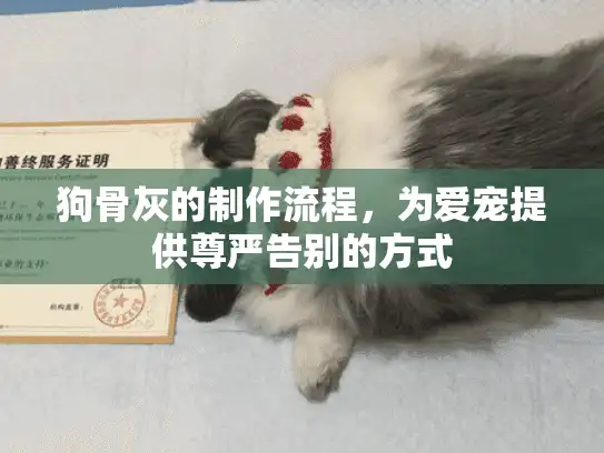 狗骨灰的制作流程，为爱宠提供尊严告别的方式